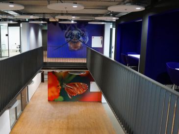 Vanderlande Academy 